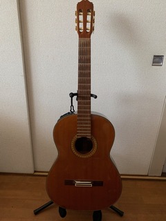 TAKAMINE PT-307のメンテナンス: In My Life