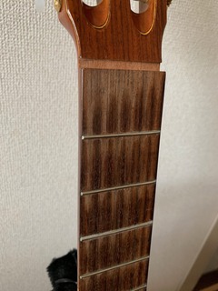 IMG_1562.jpg