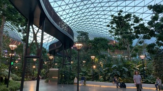 IMG_7275.jpeg