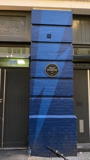 IMG_7381.jpeg