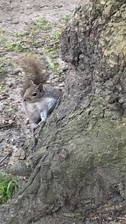 IMG_7726.jpeg