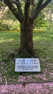 IMG_7734.jpeg