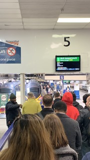 IMG_8008.jpeg