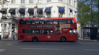 IMG_8884.jpeg