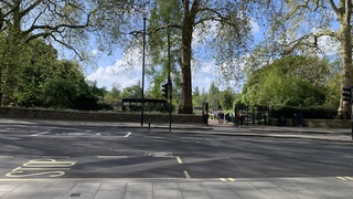 IMG_8886.jpeg