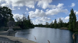 IMG_8902.jpeg
