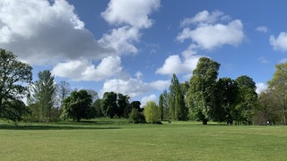IMG_8922.jpeg