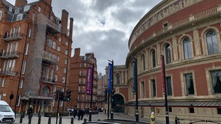 IMG_8994.jpeg