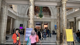 IMG_9037.jpeg